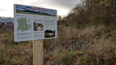 Hinweistafel zu Maßnahmen für die Zauneidechse in der Ziegelhöhe.